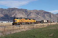 Click Here to see the photo!