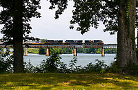 Click Here to see the photo!