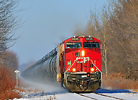 Click Here to see the photo!