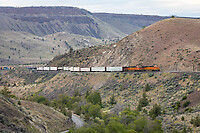 Click Here to see the photo!