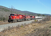 Click Here to see the photo!