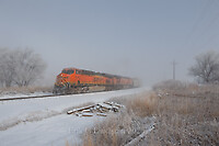 Click Here to see the photo!