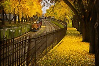 Current Screeners Choice Photo 1