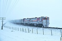 Click Here to see the photo!