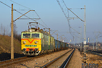 Click Here to see the photo!