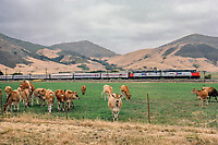 Click Here to see the photo!