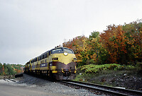 Click Here to see the photo!