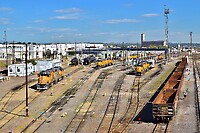 Click Here to see the photo!