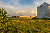 Click Here to see the photo!