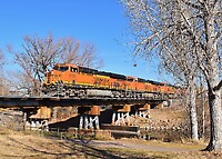 Click Here to see the photo!