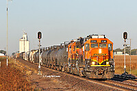 Click Here to see the photo!