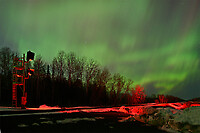 Current Screeners Choice Photo 1