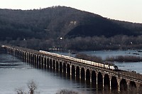 Click Here to see the photo!