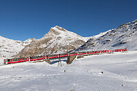 Click Here to see the photo!