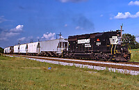 Click Here to see the photo!