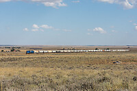 Click Here to see the photo!