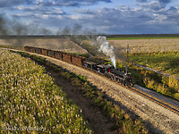 Click Here to see the photo!