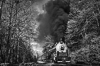 Click Here to see the photo!