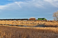 Click Here to see the photo!