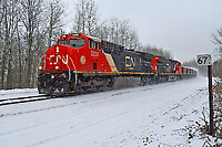 Click Here to see the photo!