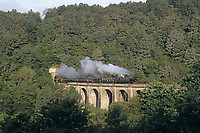 Click Here to see the photo!