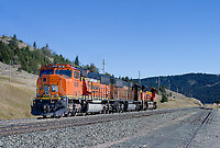 Click Here to see the photo!