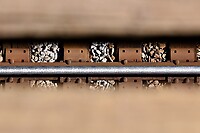 Click Here to see the photo!