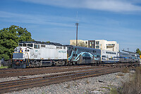 Click Here to see the photo!