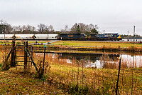 Click Here to see the photo!