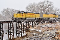 Click Here to see the photo!