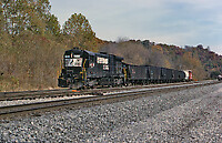 Click Here to see the photo!