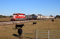 Click Here to see the photo!