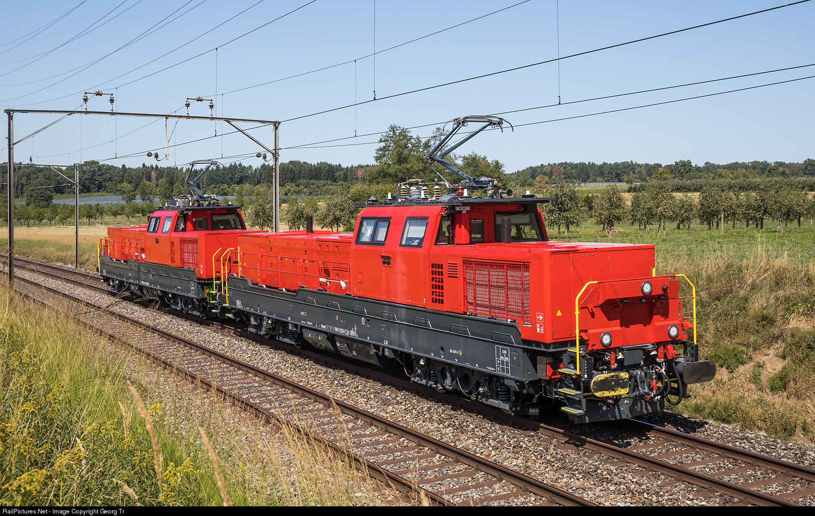 7630.1534533946.jpg
