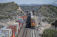 Click Here to see the photo!