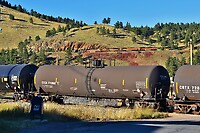 Click Here to see the photo!