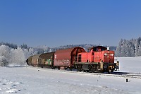 Click Here to see the photo!