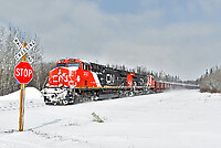 Click Here to see the photo!