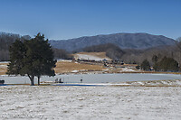 Click Here to see the photo!