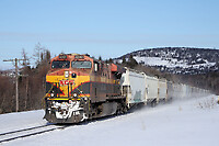 Click Here to see the photo!