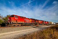 Click Here to see the photo!