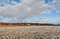 Click Here to see the photo!