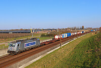 Click Here to see the photo!