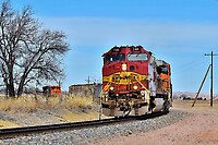 Click Here to see the photo!