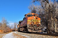 Click Here to see the photo!