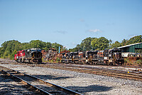 Click Here to see the photo!