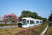 Click Here to see the photo!