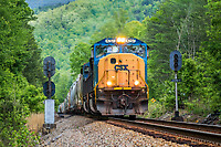 Click Here to see the photo!