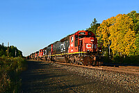 Click Here to see the photo!