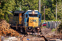 Click Here to see the photo!