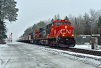 Click Here to see the photo!